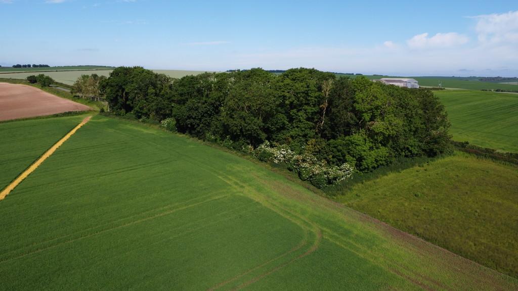 14.71 acres of Arable Land and... Land for sale - £155,000