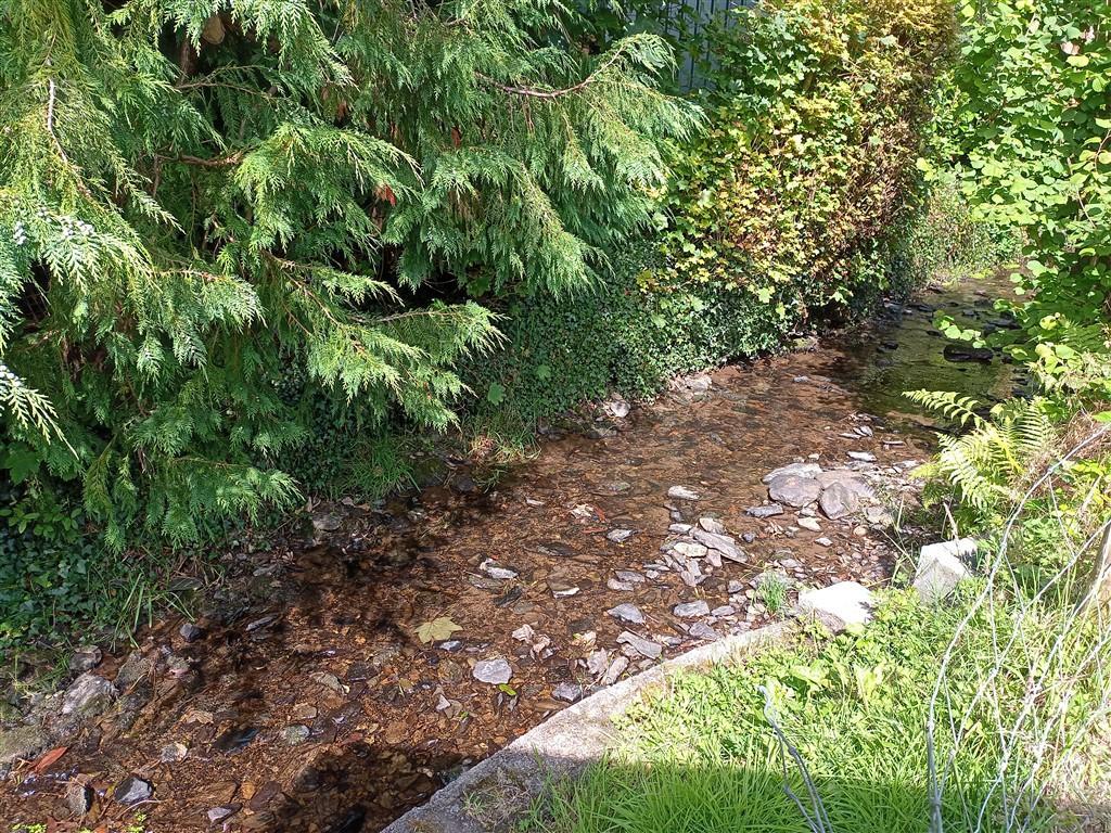 Stream Running Along Boundary