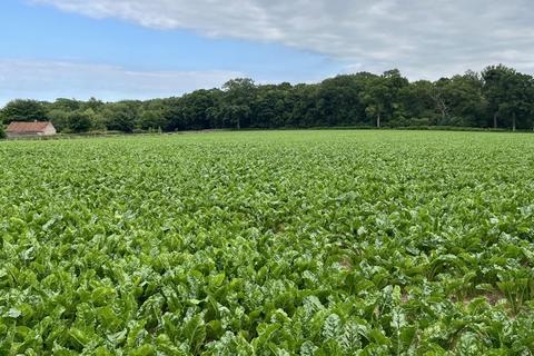 Farm land for sale, Hurricane Farm, Bodham, Holt, Norfolk, NR25 6RN