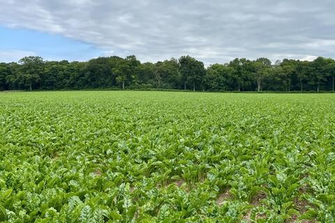 Farm land for sale, Hurricane Farm, Bodham, Holt, Norfolk, NR25 6RN