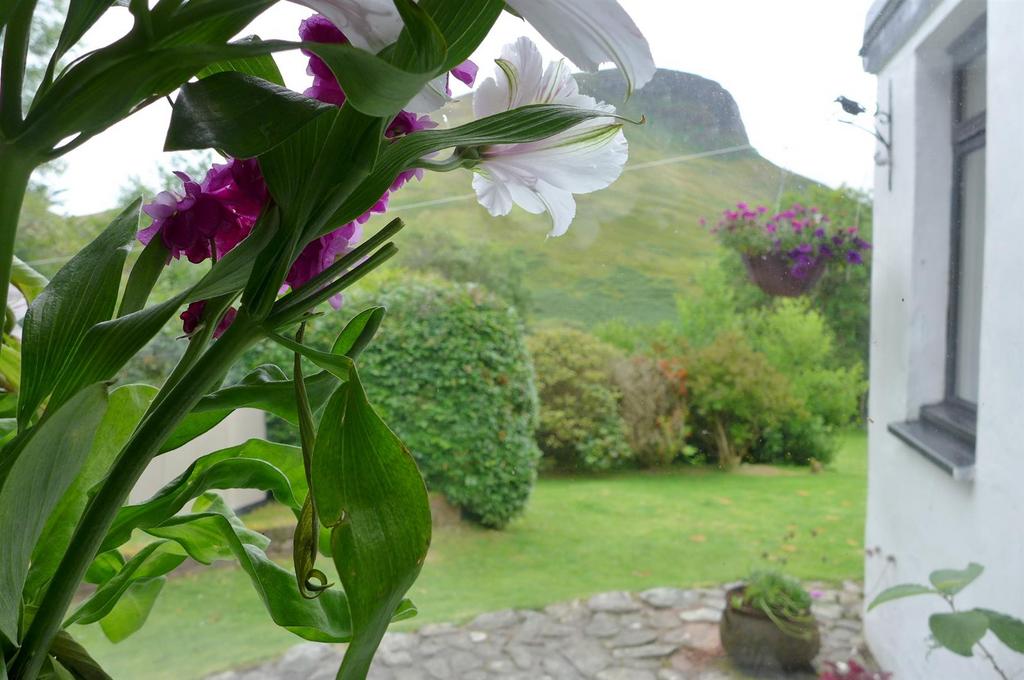 Flowers and view