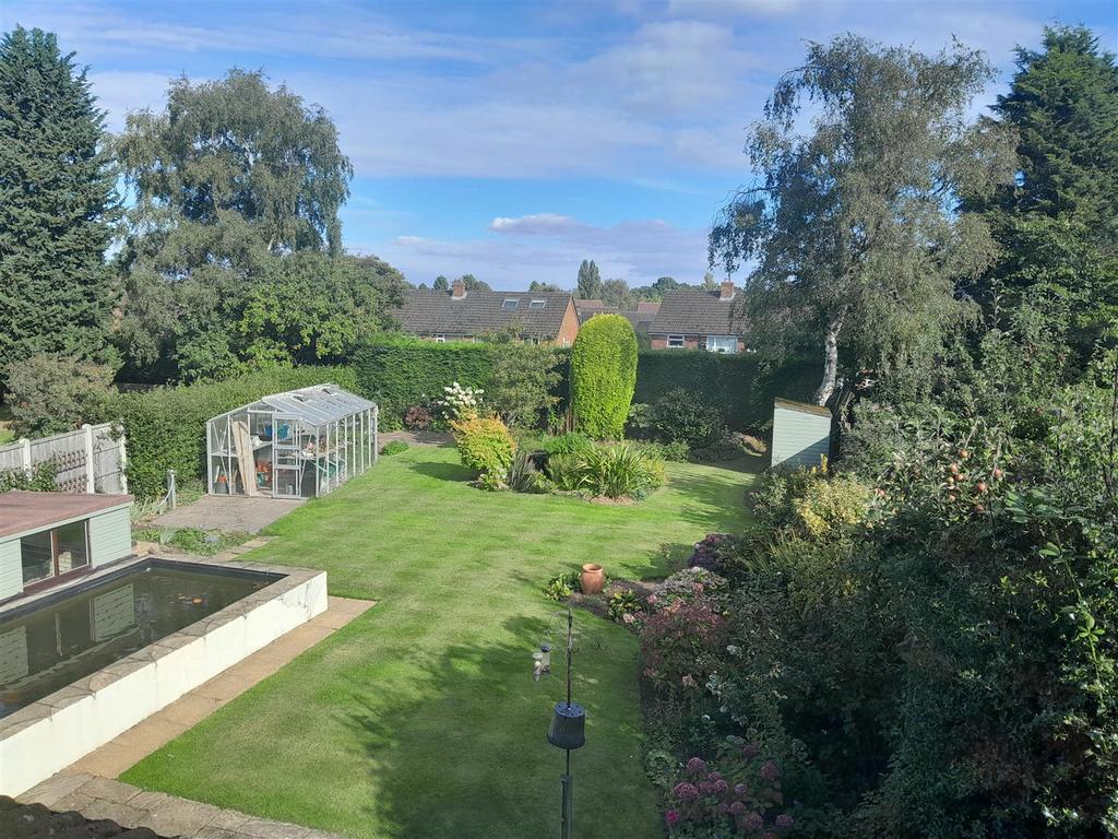 New garden.jpg