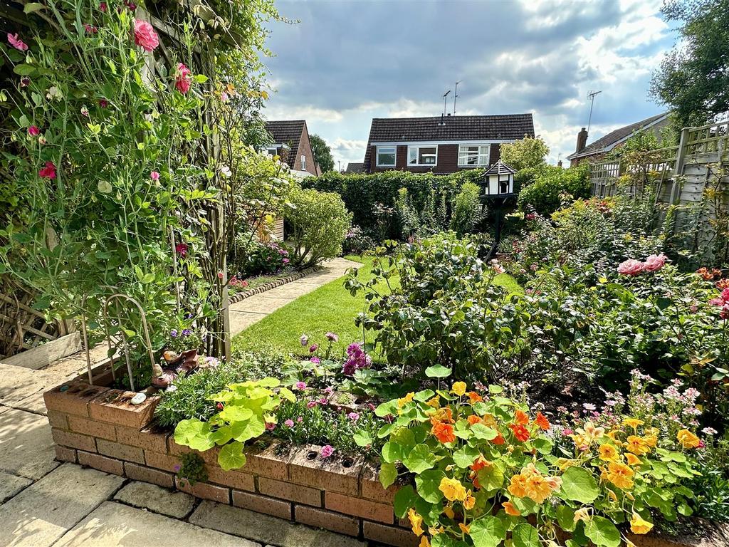 Garden from patio
