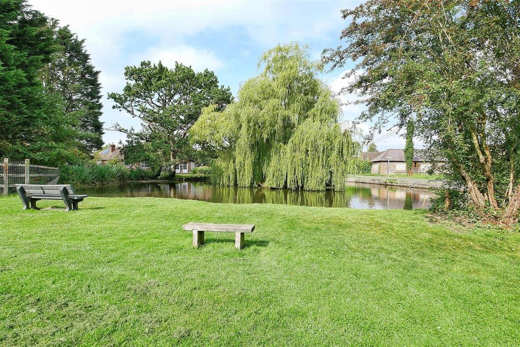 Duck Pond