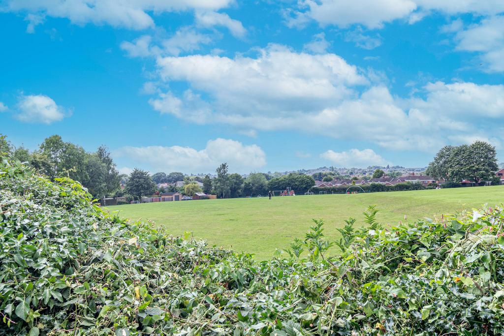View from Garden