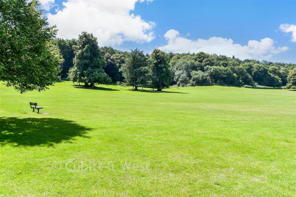 Surrounding Area