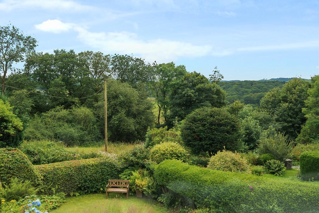 Garden and View