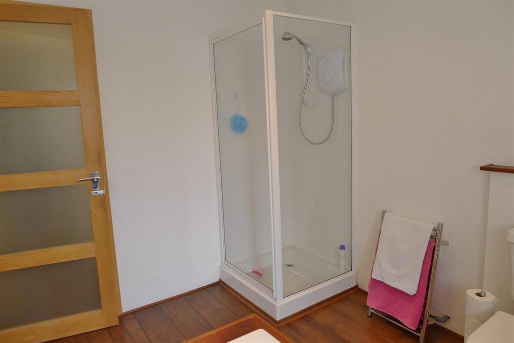 Shower in downstairs bathroom