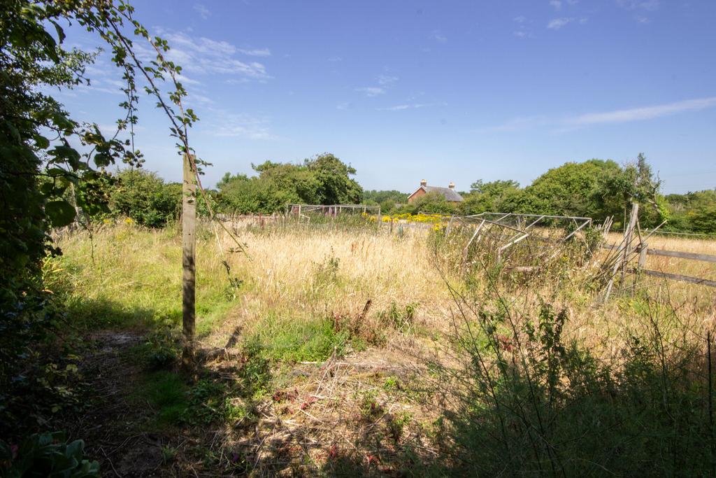 Vegetable Area