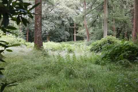 Land for sale, Tennysons, Haslemere GU27