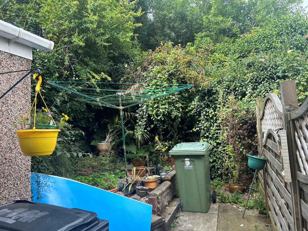 Garden T202407291319.jpg