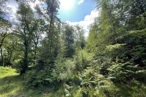 Woodland for sale, Talybont, Aberystwyth SY24