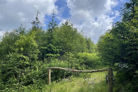 Woodland for sale, Talybont, Aberystwyth SY24