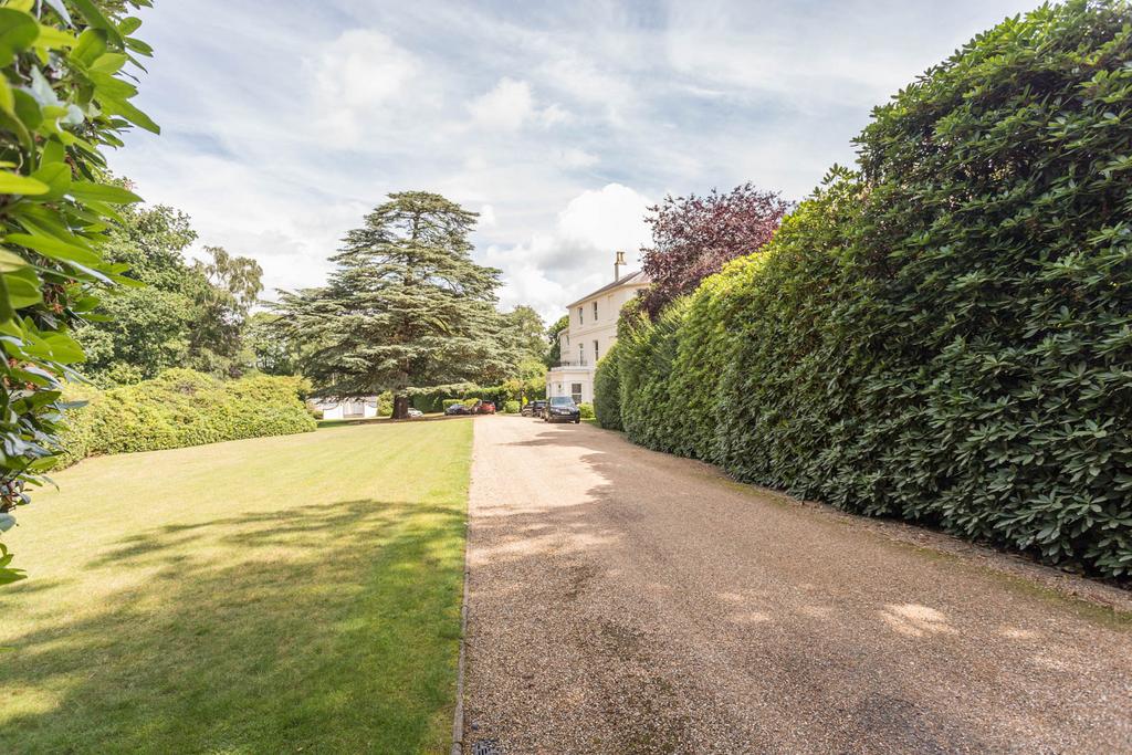 Stunning Driveway