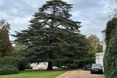 undefined, KINGS RIDE HOUSE, PRINCE ALBERT DRIVE, ASCOT, BERKSHIRE, SL5 8AQ