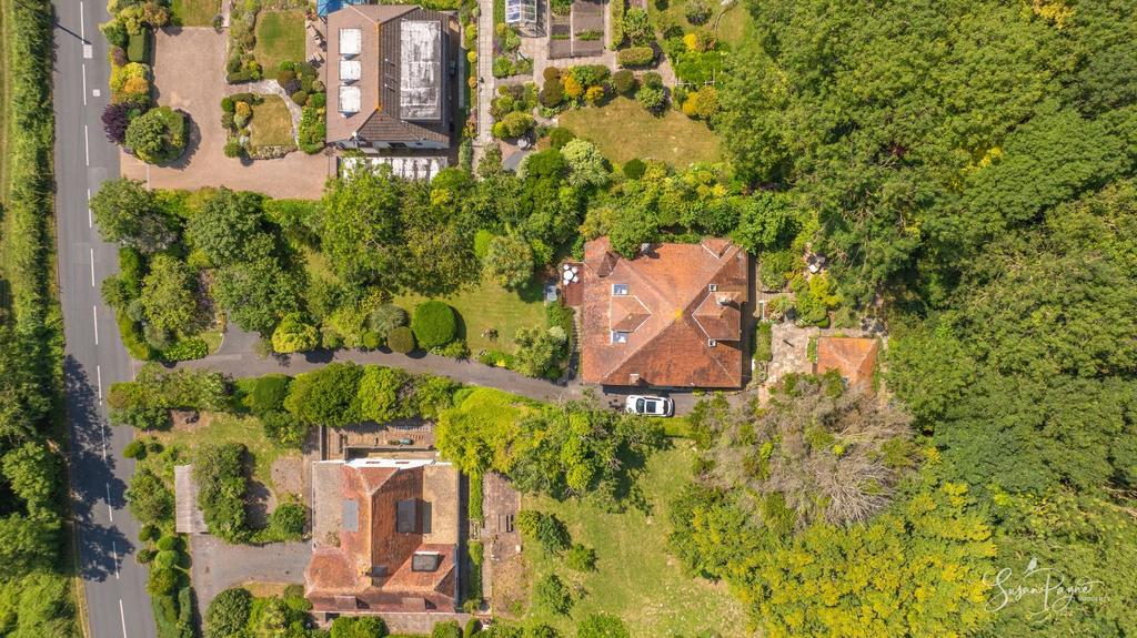 Birds eye view of the plot