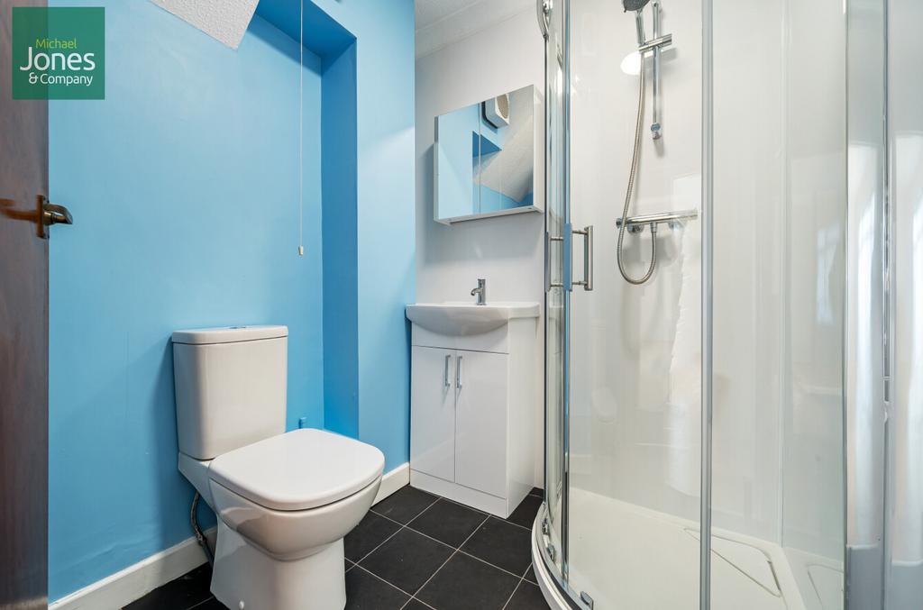 Downstairs Shower