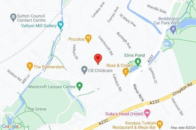 Google Maps Image