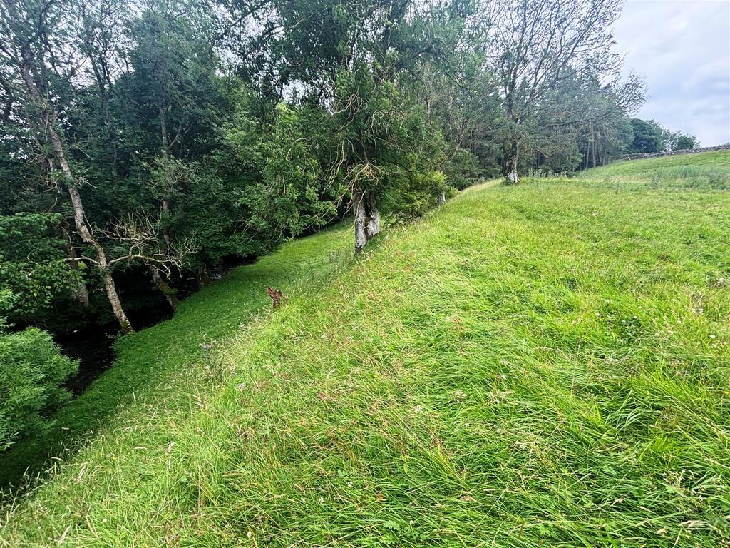 IMG 0580.jpg