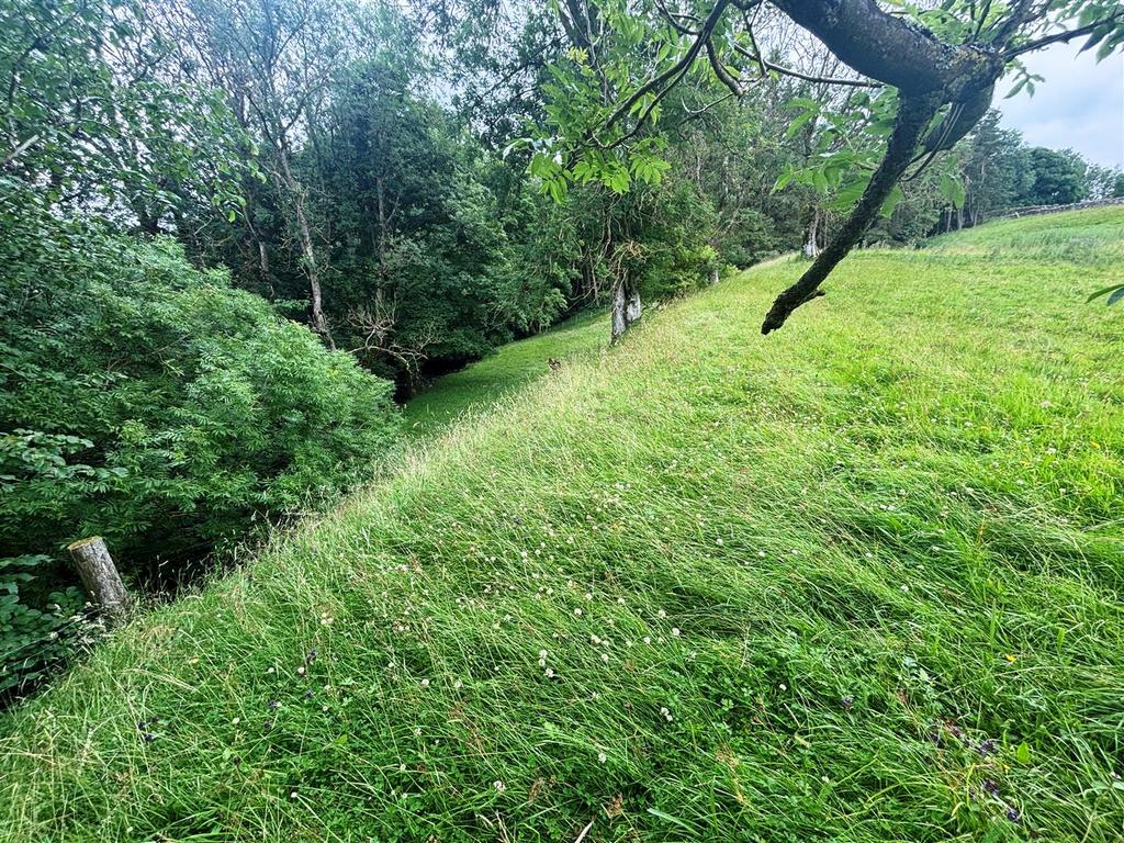 IMG 0577.jpg