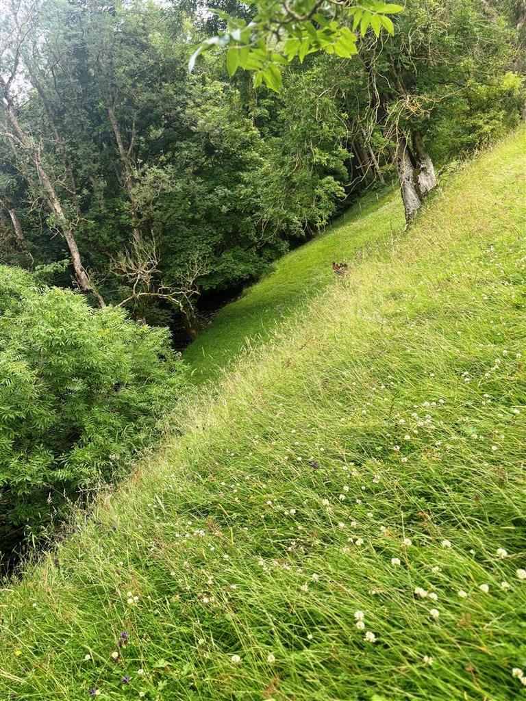 IMG 0578.jpg