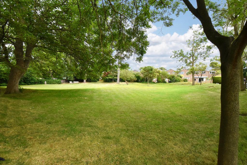Views of Estate Grounds