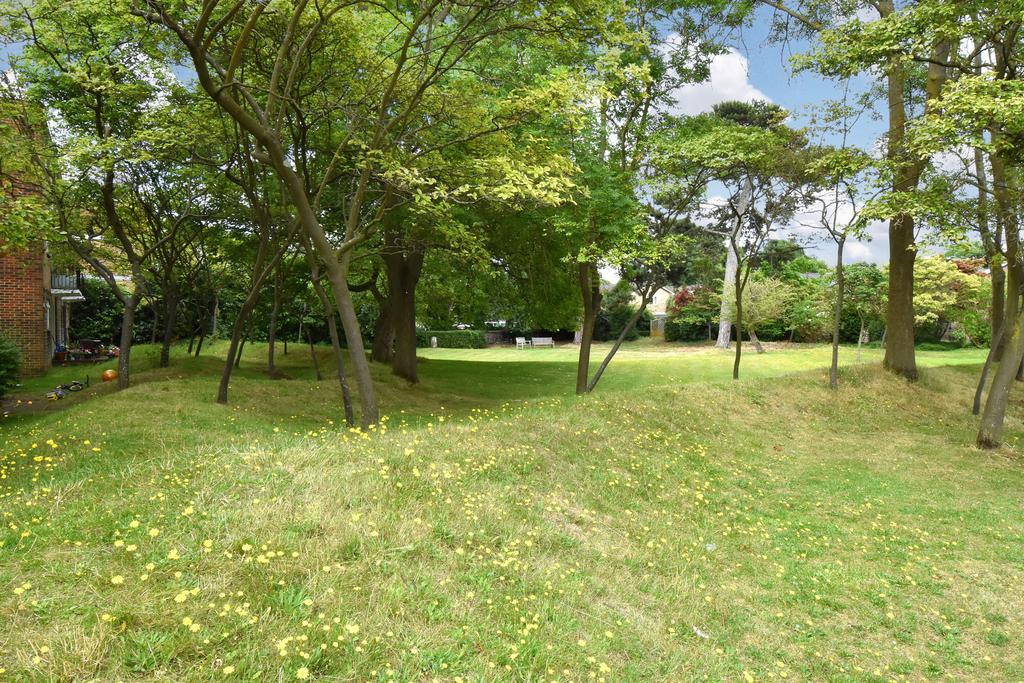 Views of Estate Grounds