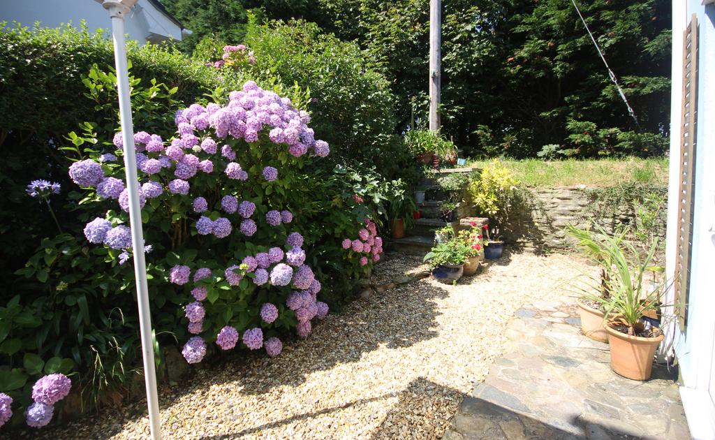 21) Rear Garden 1