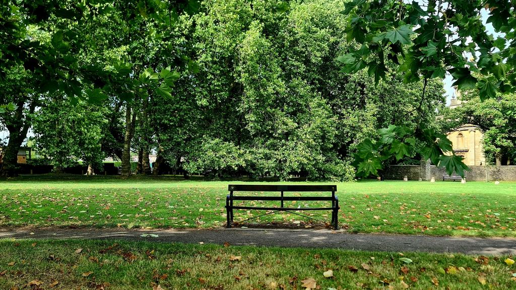 Redland Park