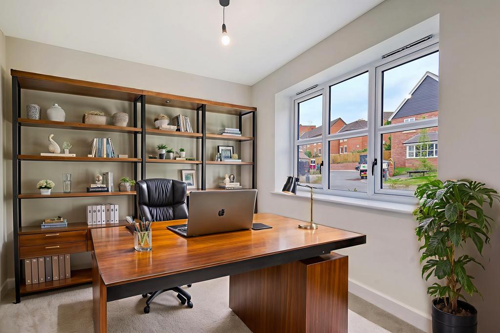 Plot 5 study