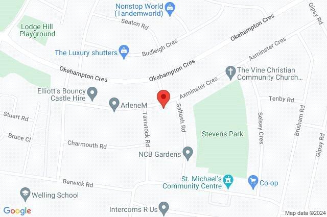 Google Maps Image