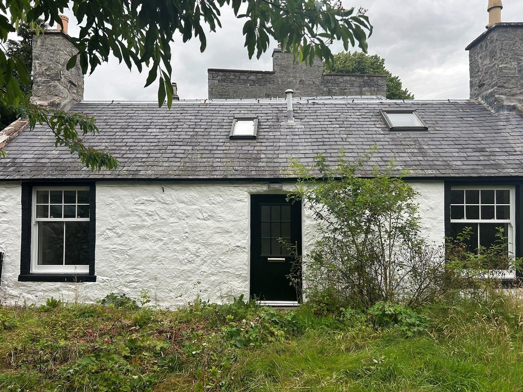 Main Image