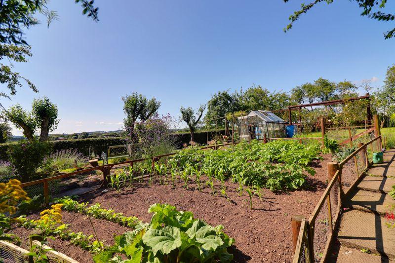 Veg Patch