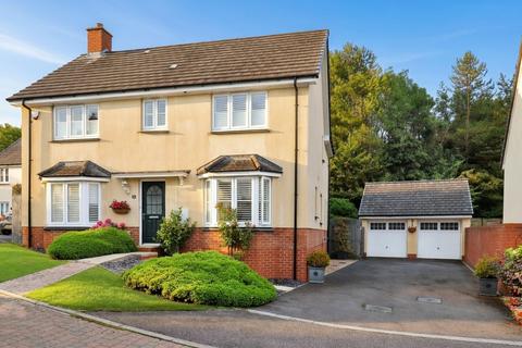 Rumsam Meadows, Barnstaple, EX32