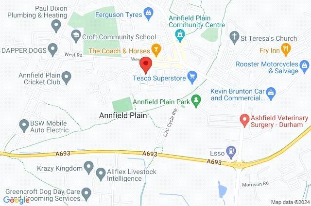 Google Maps Image