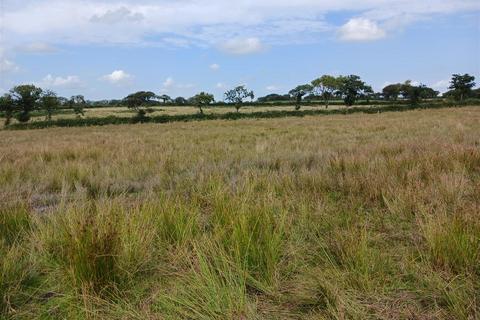 undefined, Burnards House, Holsworthy