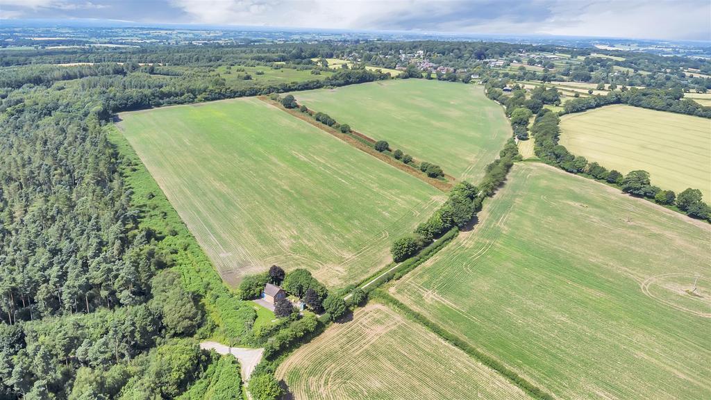 DJI 0610.jpg