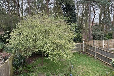 31 Birch Covert, Thetford, IP24 2UL