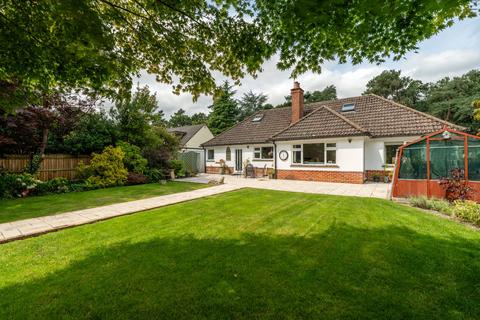 undefined, Ringwood Road, Ferndown, Dorset, BH22