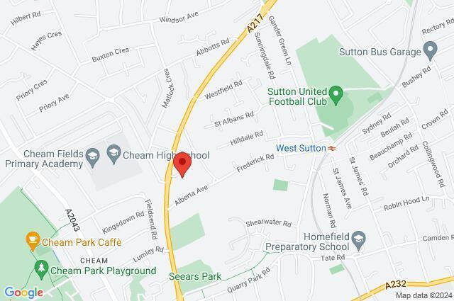 Google Maps Image