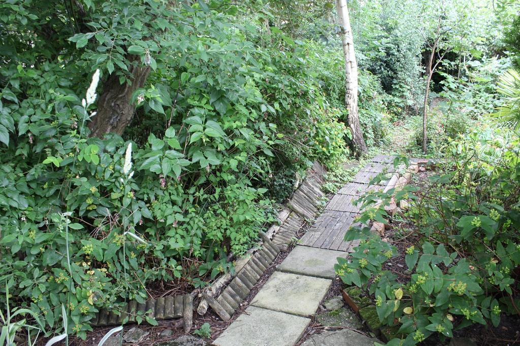 Outside Picture 6