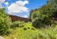 Additional image 9 of Somerhill Road, Tonbridge, Kent