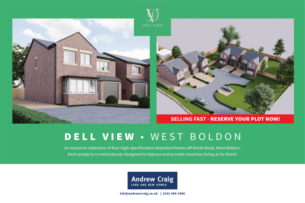 Dell View
