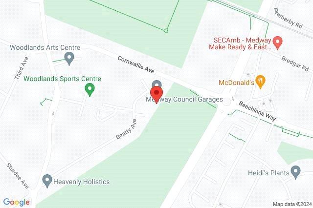 Google Maps Image
