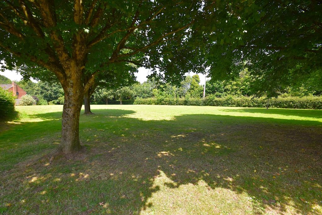 Green Space