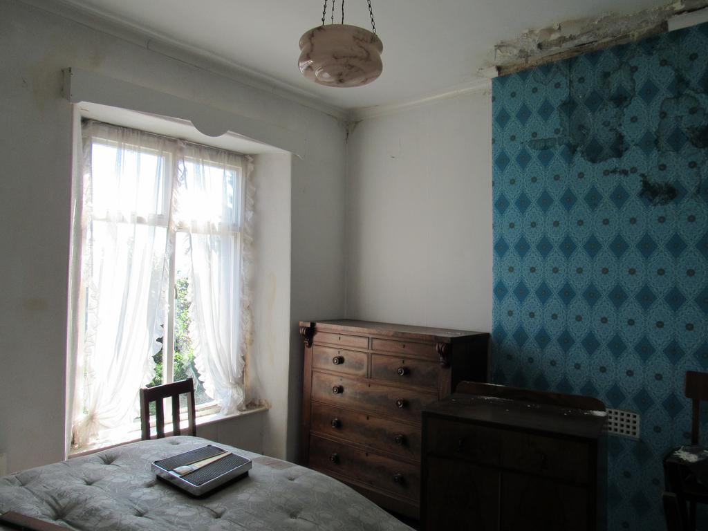 IMG 1249 T202408011636.jpg