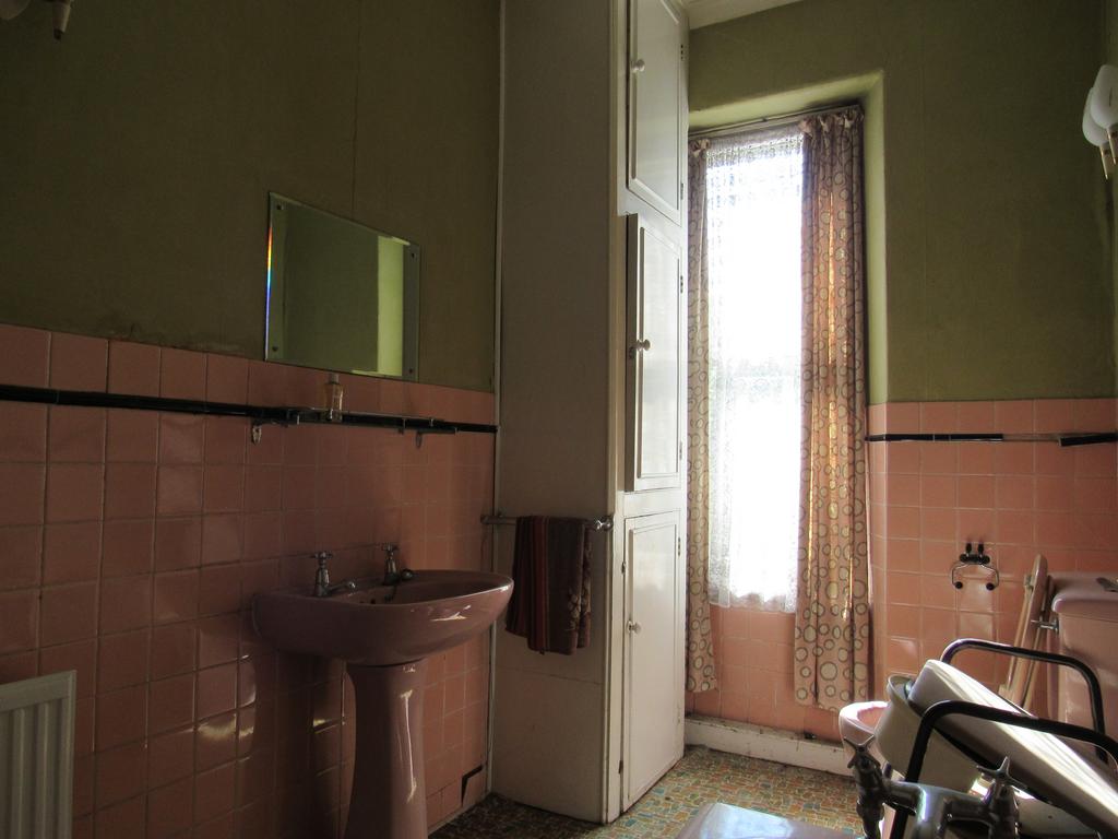 IMG 1251 T202408011636.jpg