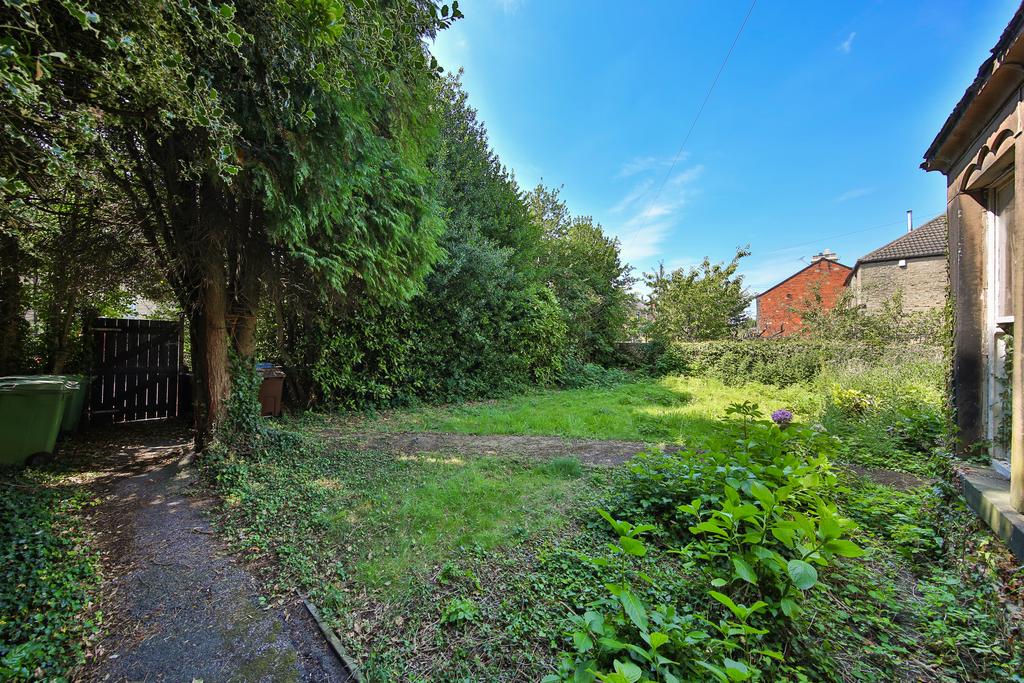Garden8 T202408011635.jpg