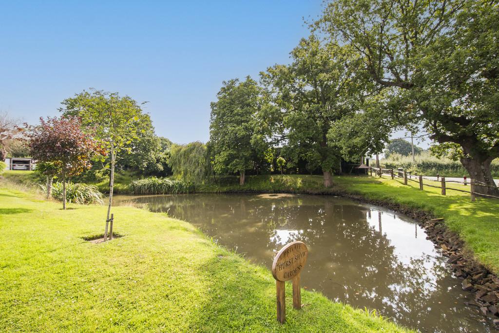 Communal duck pond