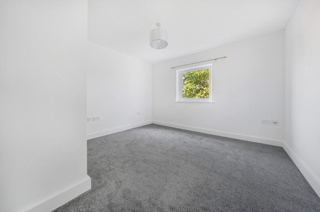 1163470 (7).jpg